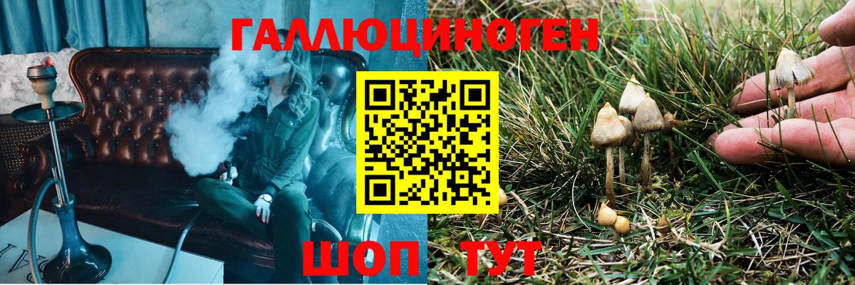 Трёхгорный  Псилоцибиновые грибы GOLDEN TEACHER  Псилоцибиновые грибы Psilocybe  Вход с VPN 